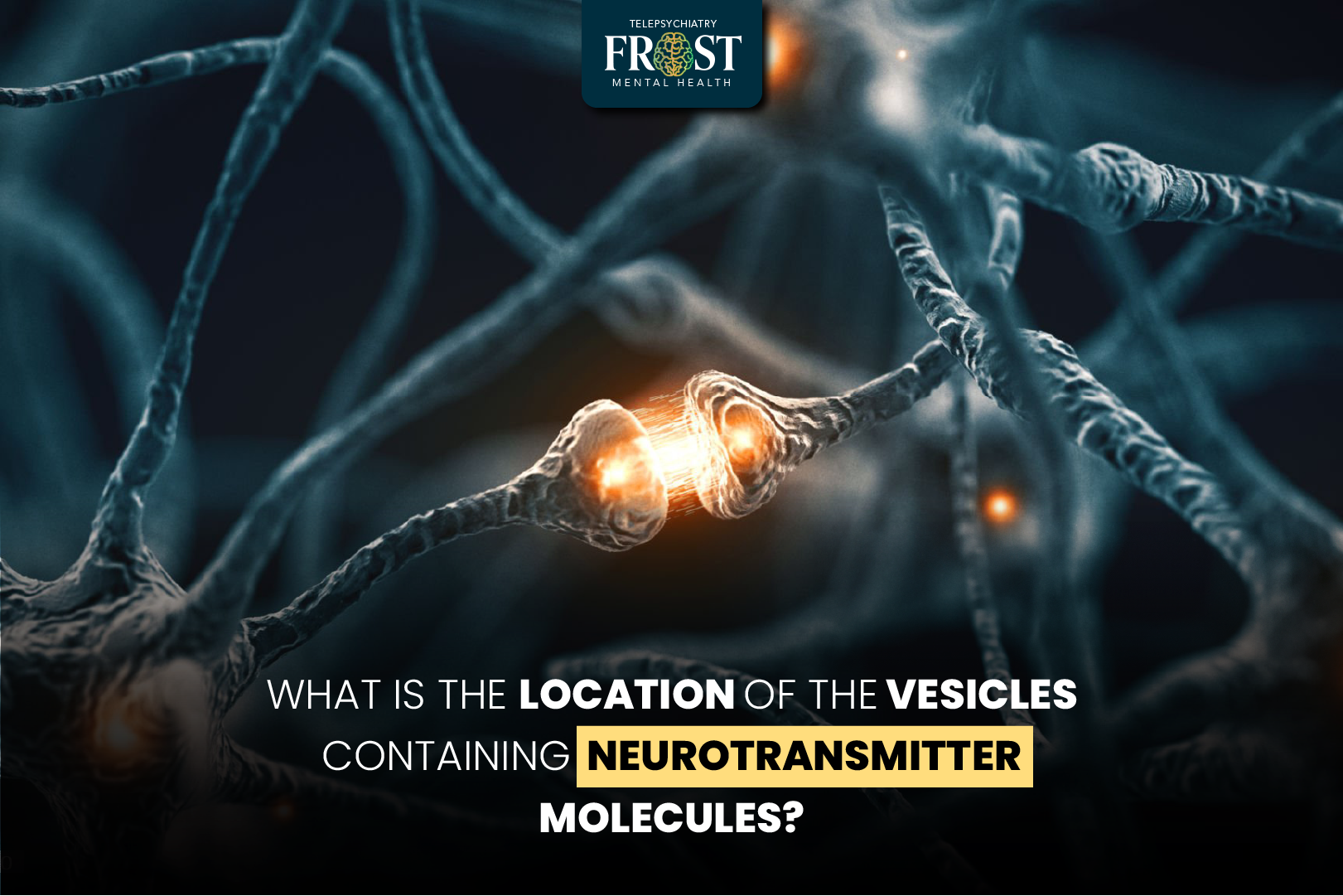 What Is the Location of the Vesicles Containing Neurotransmitter Molecules